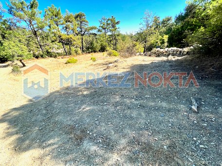 Muğla, Menteşe, Kıran Bölgesinde Kadastral Yola Cepheli Arazi