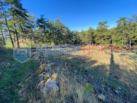 Muğla-Menteşe-Kıran'da Ana Yola ve Denize (15km) Yakın Yatırımlık Arazi
