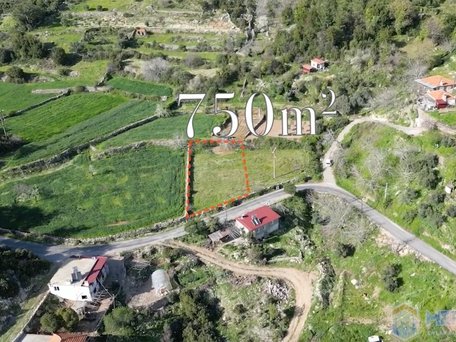 Land with Rural Zoning Facing the Main Road in Muğla Zeytin...