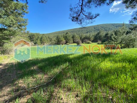 Land Facing the Cadastral Road in Muğla, Menteşe, Yaraş District