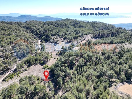 Muğla Zeytinköy'de Yatırımlık Düz Satılık Arazi