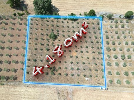 Muğla,Menteşe, Çırpı'da, Yola Cepheli, Tel Örgüyle Çevrili Arazi