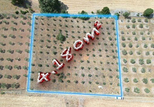 Muğla,Menteşe, Çırpı'da, Yola Cepheli, Tel Örgüyle Çevrili Arazi