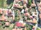 Muğla, Menteşe, Yenice, Near the Sea (17km) Developed Land