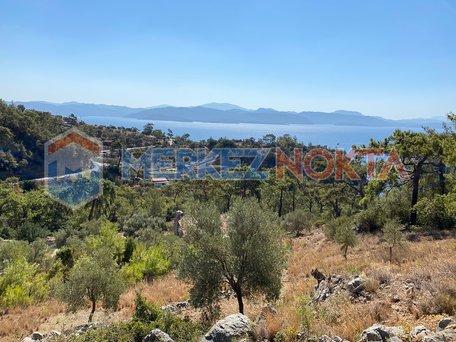 Muğla, Akyaka - Akbük Yol Güzergahında, Deniz Manzaralı Tarla