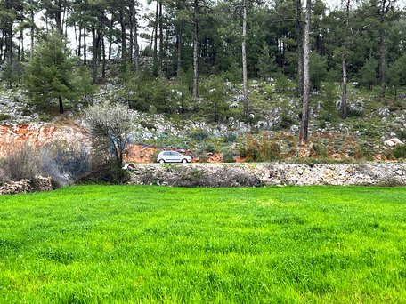 Muğla, Kıran'da Ana Yola ve Yerleşime Yakın Yatırımlık Arazi